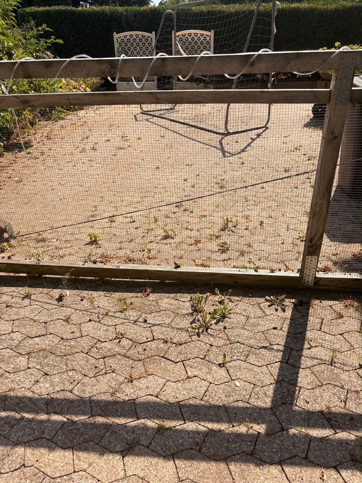 Terrassenpflaster mit Bewuchs vor der Reinigung