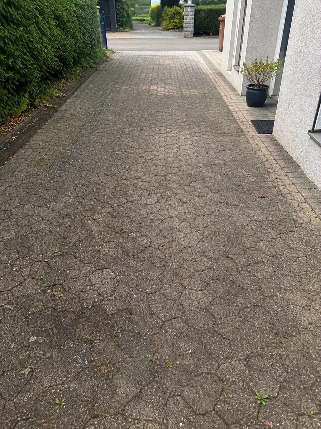 Einfahrt mit Moos und Grünbelag vor der Reinigung